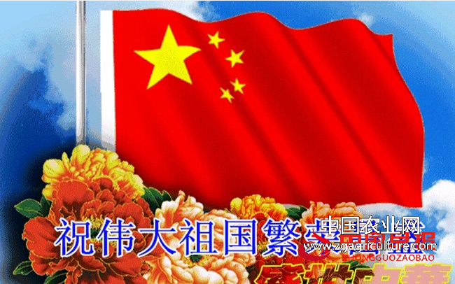 祝福祖国.png