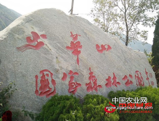 少华山（陕西）.png