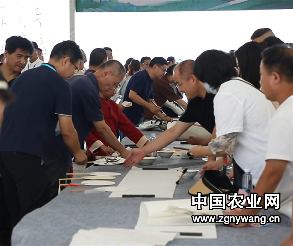 屏幕截图 2024-09-05 200152.png