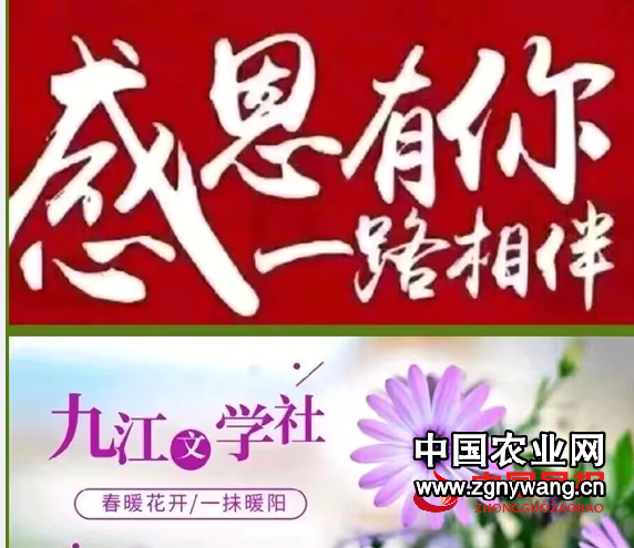 九江文学社2.png