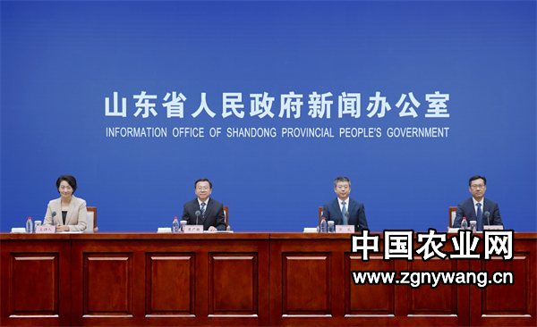 屏幕截图 2024-09-19 102940.png