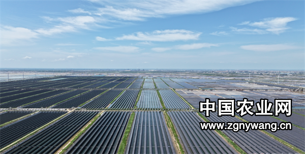 屏幕截图 2024-10-10 112601.png