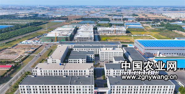 屏幕截图 2024-10-10 112622.png