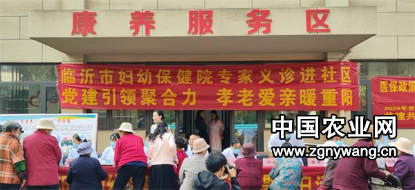 屏幕截图 2024-10-12 114913.png