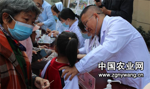 屏幕截图 2024-10-12 115017.png