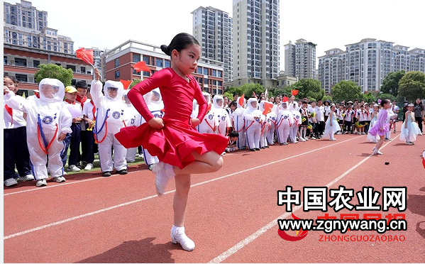QQ图片20240601191955.png