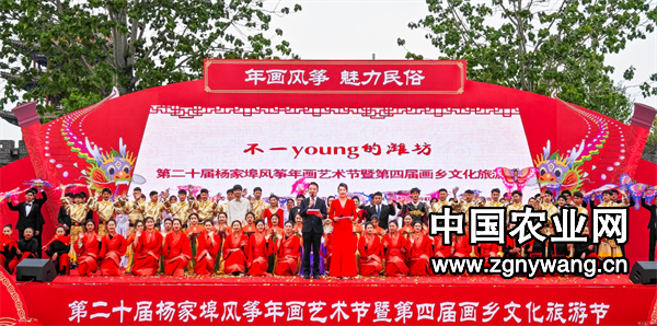 屏幕截图 2024-11-11 170840.png