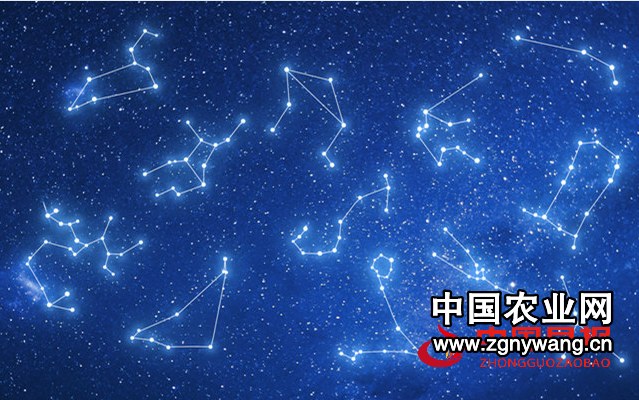 星星4.png