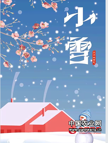 4小雪.png