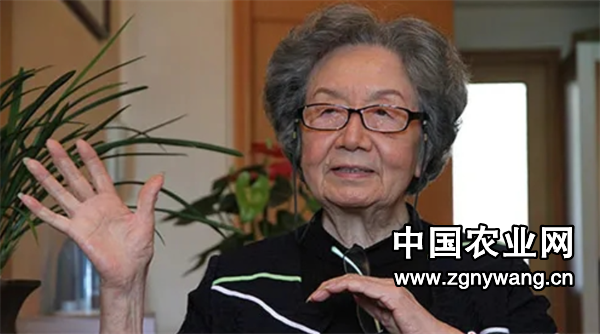 屏幕截图 2024-11-25 162344.png