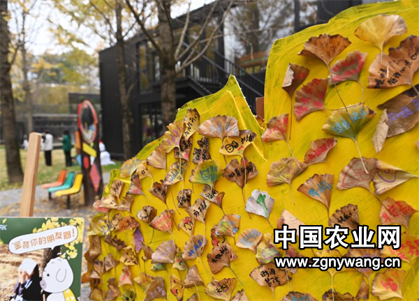 屏幕截图 2024-12-04 141130.png