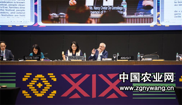 屏幕截图 2024-12-05 192811.png