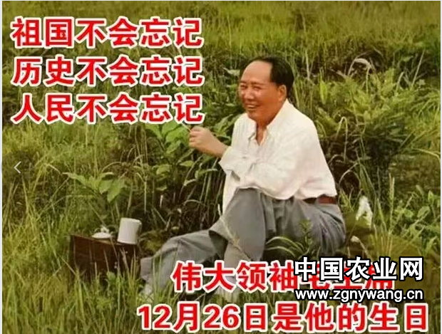 55毛主席.png