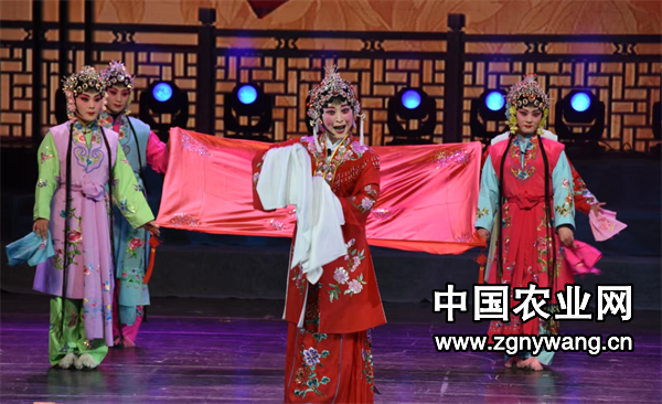 屏幕截图 2025-01-03 203007.png