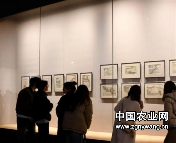 屏幕截图 2025-01-15 190703.png