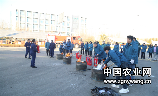 屏幕截图 2025-01-25 183120.png