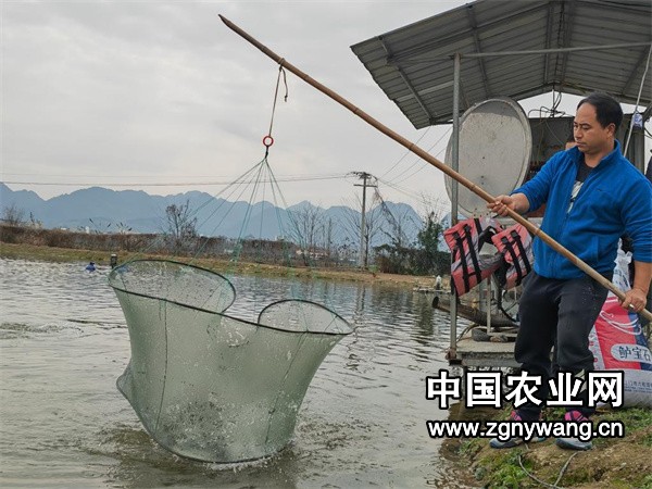 “土特产”走出乡村 “好滋味”飘香城市