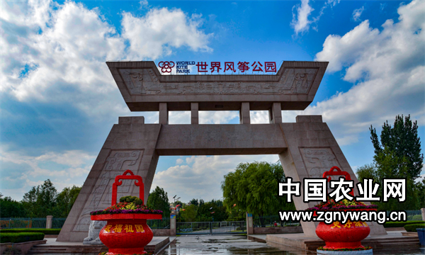 屏幕截图 2025-03-07 222627.png