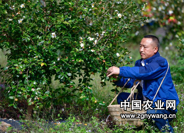 屏幕截图 2025-03-14 161418.png