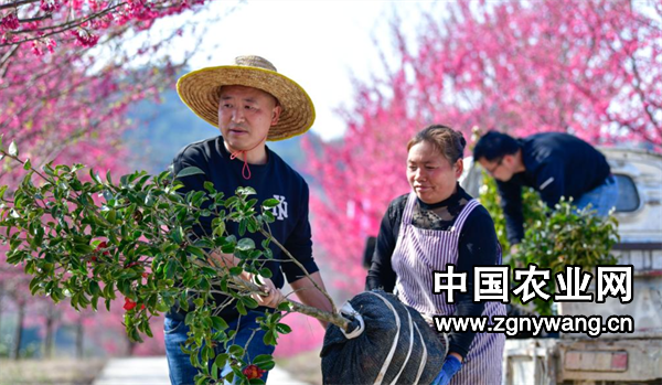 屏幕截图 2025-03-14 161428.png