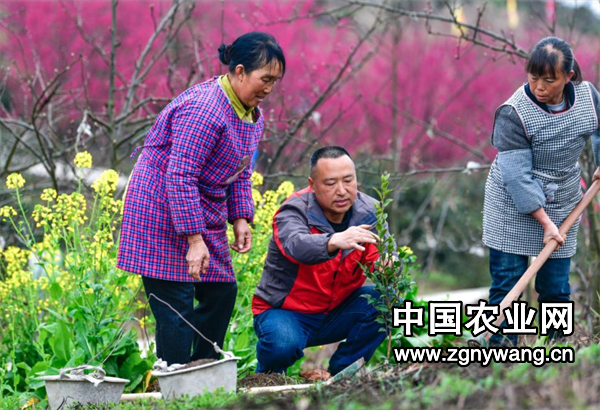 屏幕截图 2025-03-14 161438.png