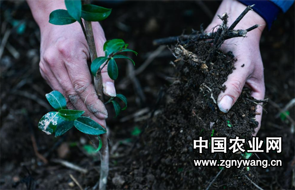 屏幕截图 2025-03-14 161521.png