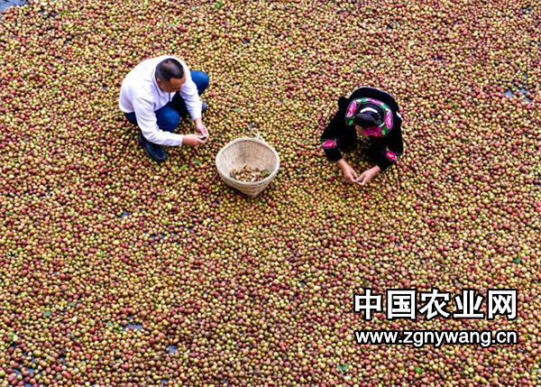 屏幕截图 2025-03-14 161530.png