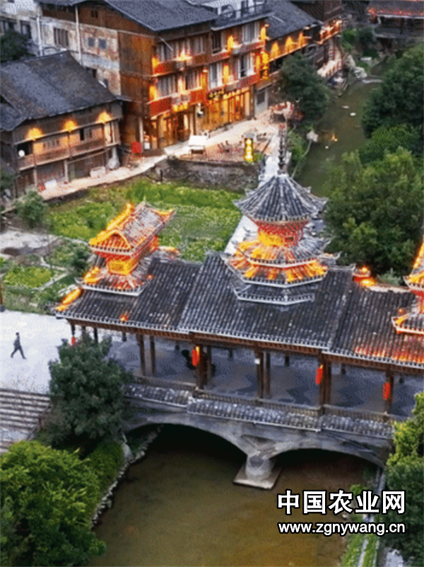 屏幕截图 2025-03-21 204331.png