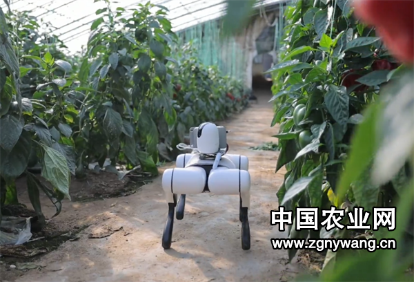 屏幕截图 2025-03-27 124623.png