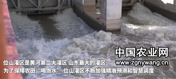 屏幕截图 2025-03-27 124642.png