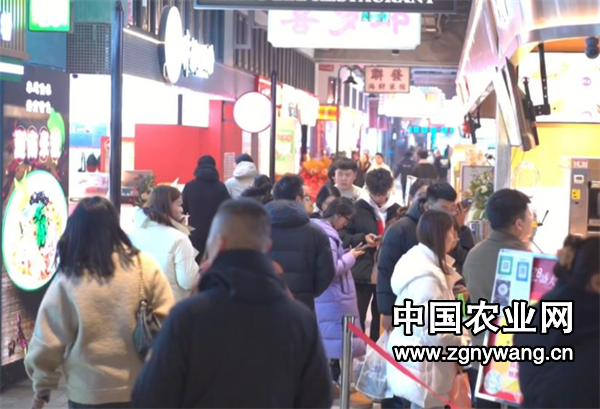 屏幕截图 2025-03-28 132824.png