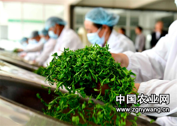 屏幕截图 2025-05-07 135153.png