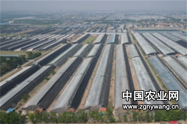 屏幕截图 2025-06-07 131728.png