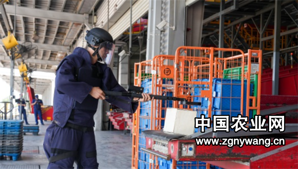 屏幕截图 2025-06-20 214841.png