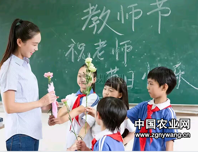 2教师节献花.png