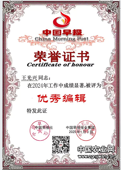 2024中国早报优秀编辑证书.png