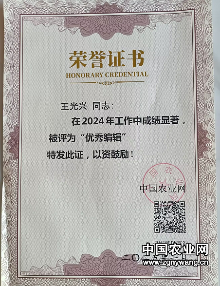 中国农业网优秀编辑.png