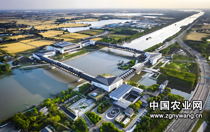 三地共治一水 绘就长三角水乡新图景