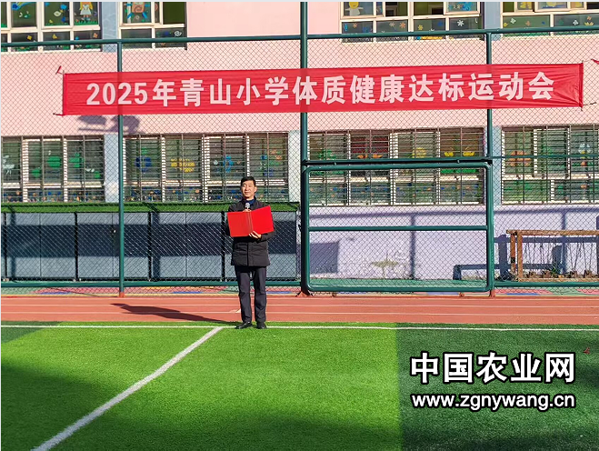 活力满校园 ——湖北荆门市青山小学体质健康达标运动会顺利举行