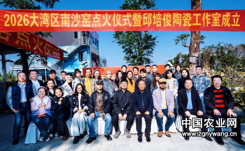 南沙窑点火开窑，麟界数科助力陶瓷文化创新