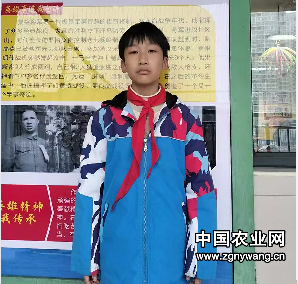 泳池边的欢声笑语(学生习作）