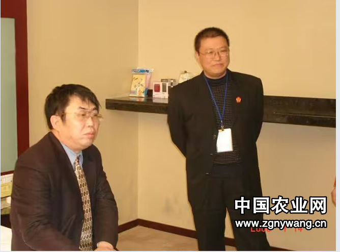 谭文革散文｜怀念棋圣聂卫平