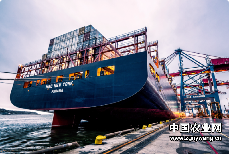 拓威天海拿下浙江投资｜用AI完成国际中大件门到门履约