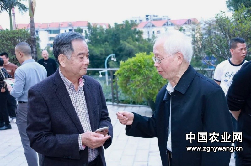 潮州仙河乡大湾区同乡会创会会长陆东明： 同根同族陆家人，共创共建同乡会